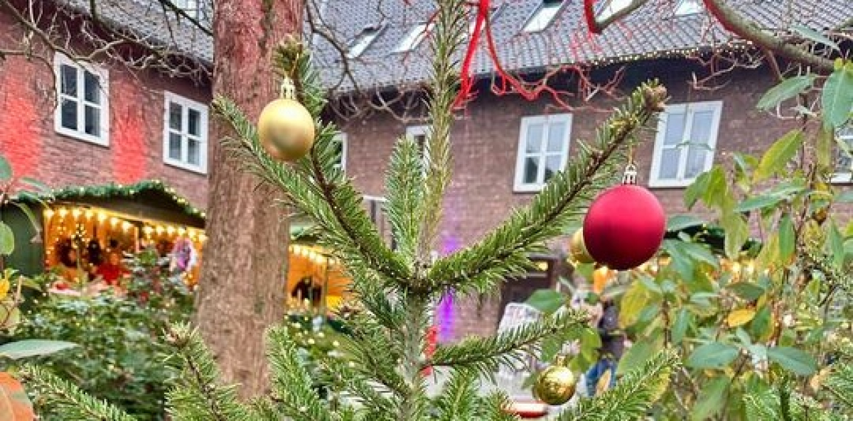 Geschmückter Tannenbaum im Burginnenhof Geschmückter Tannenbaum im Burginnenhof
