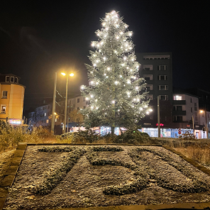 Bild von der 750 am Kreisverkehr mit einem Weihnachtsbaum im Hintergrund Bild von der 750 am Kreisverkehr mit einem Weihnachtsbaum im Hintergrund