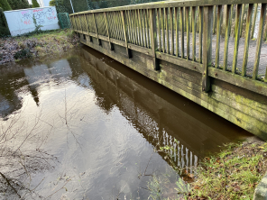Unterwasserstehende Rücke