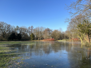 Überflutete Wiese