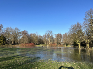 Überflutete Wiese