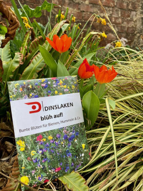 Samentütchen liegt auf Blumen Samentütchen liegt auf Blumen