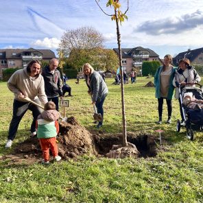 Baum wird gepflanzt Baum wird gepflanzt