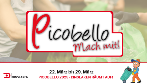 Banner Picobello