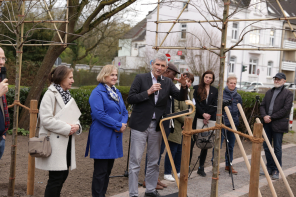 Pflanzen von Pflaumenbäumen (Geschenk aus Agen) am 22.03.2025 am Museum Voswinckelshof. Foto von Ingo Lammert