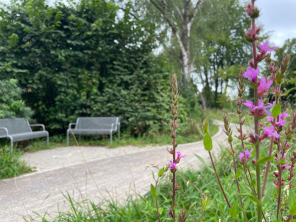 Foto: Neue Bänke am Rotbach