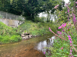Foto: Rotbach August 2025