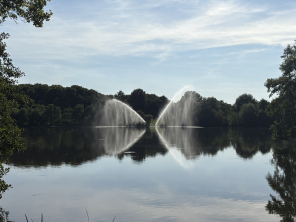 Rotbachsee Rotbachsee