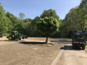 Blühfläche Einsaat Friedhof Eppinghoven April 2020 Blühfläche Einsaat Friedhof Eppinghoven April 2020