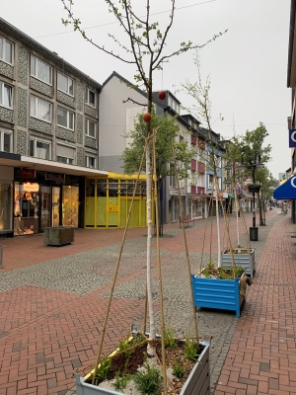 KleinerKlimaWald Bäume in der Einkaufsstraße