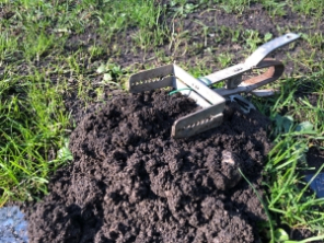März 2021: Bei Pflegearbeiten auf dem Waldfriedhof in Oberlohberg ist eine Maulwurffalle gefunden worden. März 2021: Bei Pflegearbeiten auf dem Waldfriedhof in Oberlohberg ist eine Maulwurffalle gefunden worden.