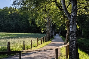 Blick in das Rotbachtal Blick in das Rotbachtal