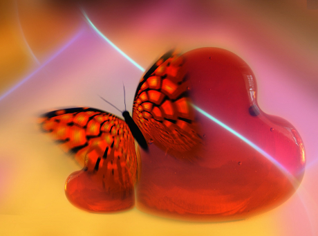 Schmetterling und Herz Schmetterling und Herz