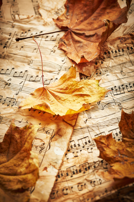 Musiknoten mit Herbstlaub Musiknoten mit Herbstlaub