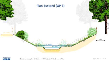 Querschnitt der geplanten Renaturierung