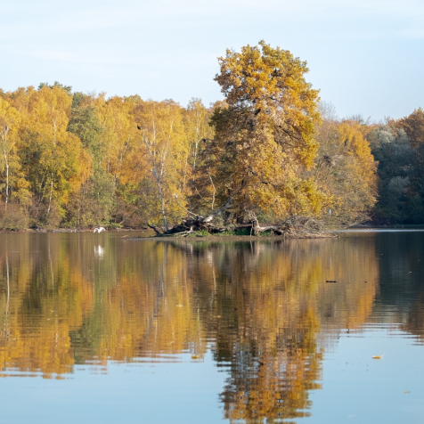 Fotos des Rotbachsees